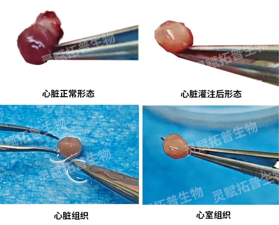 f4ac123e-f4db-4744-9760-f2a034581dc9.png
